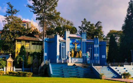 Top Reasons to Choose Our Shillong Tour Package