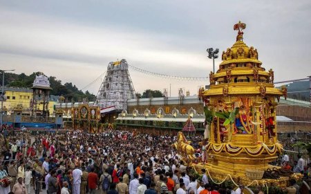 Tirupati Balaji Darshan Guide: Everything You Need to Know Before You Go