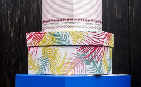 A Guide to Accessing VIP Box Free Sports Streaming Tips