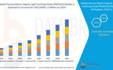 Passive Matrix Organic Light Emitting Diode (PMOLED) Market Business Status and Future Outlook Analysis 2029