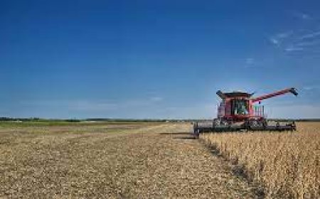 Red Diesel Suppliers: Fueling Off-Road Agricultural and Industrial Machinery