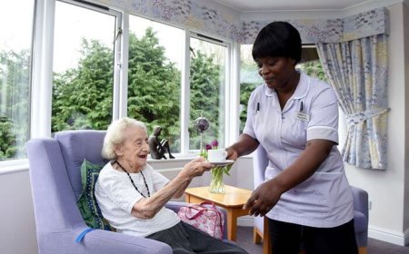 Compassionate Care Near Home: Investigating Nursing Homes in Warwickshire Blogs  Health
