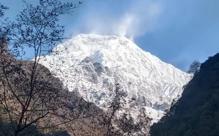 How to Overcome Altitude on Annapurna Using Proven Tips