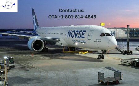 How Do I Contact to a Live Person at Norse? Here’s Your Shortcut!