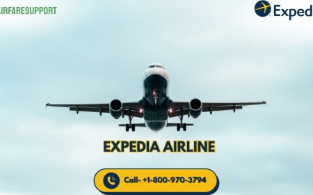 How do I contact to a real person on Expedia?- Your Solution inside!