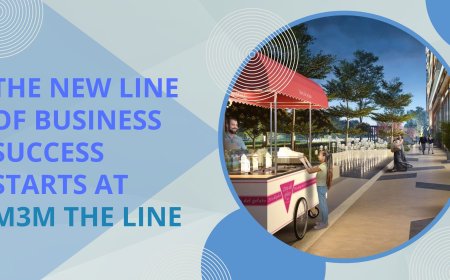 The New Line of Business Success Starts at M3M The Line