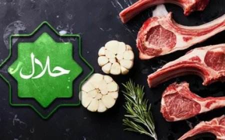 Halal Meat Guide Japan: How to Shop Smart & Safe