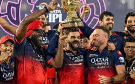 How to Build a Winning IPL Team: Lessons from RCB