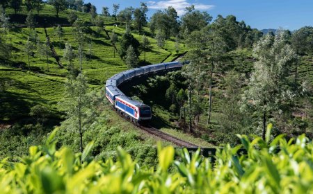 Things to do in ella sri lanka