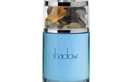 Best Men Perfume Picks for a Lasting Impression in 2025