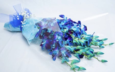 Sending Comfort — Sympathy Flower Ideas That Make a Difference