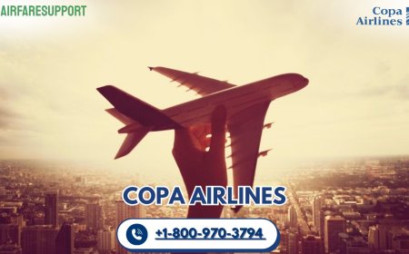 How do I speak to someone at Copa? Get Support in a Snap!