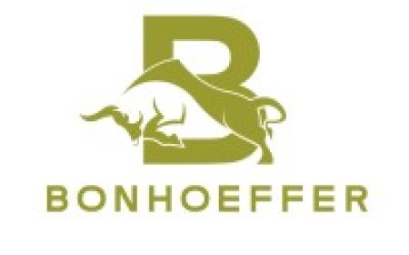 Bonhoeffer Machines Gasoline Generators & Inverters