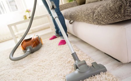 What To Expect from Pro Carpet and Rug Cleaning Services