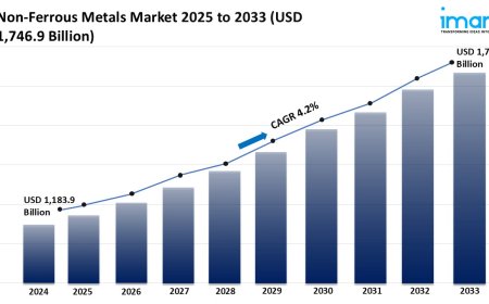 Non-Ferrous Metals Industry Growth, Share & Forecast 2025-2033