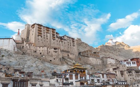 Explore the Grandeur Through Stunning Leh Palace Photos