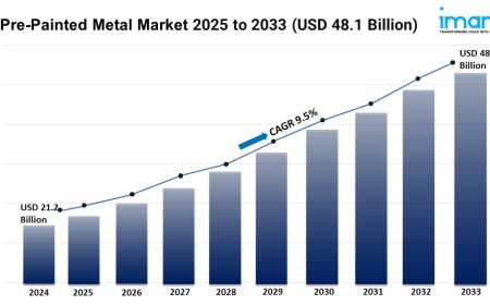 Pre-Painted Metal Market Size, Growth, and Trends Forecast 2025-2033
