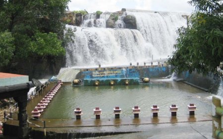 Discover Nature's Beauty at Nagercoil Thirparappu Falls