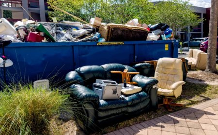 Hounslow Refuse Collection: Your Step-by-Step Survival Guide