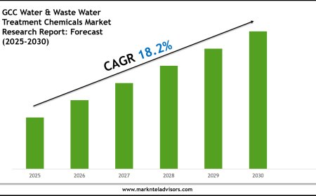 GCC Water & Waste Water Treatment Chemicals Market Outlook 2030 Trends, Growth & Demand