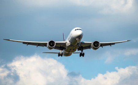 Solve Fare Issues via American Airlines Phone Number Georgia