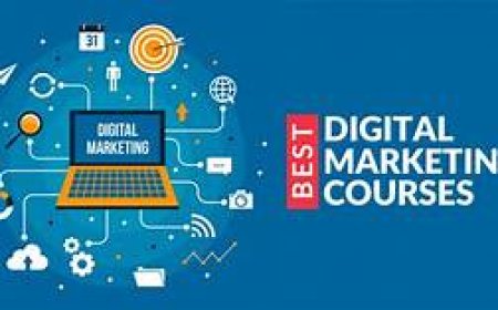 How a Digital Marketing Institute Can Transform Your Career in Just 6 Months?