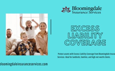 Secure Your Assets with Excess Liability Coverage from Bloomingdale Insurance Services