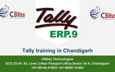 Job-Oriented Tally Training with Certification & Projects