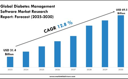 Diabetes Management Software Market Report 2025–2030: Size, Share & Forecast