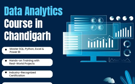Master Data Analysis, Visualization & Business Intelligence in Chandigarh