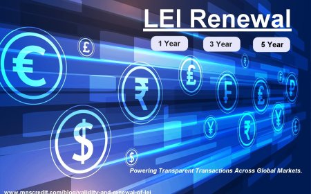 Understanding LEI Renewal Cycles: Choosing Between 1-Year, 3-Year, and 5-Year Plans