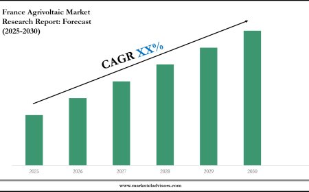 France Agrivoltaic Market Forecast 2025–2030: Key Players, Trends & Outlook