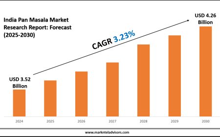 India Pan Masala Distribution Trends and Forecast (2025–2030)