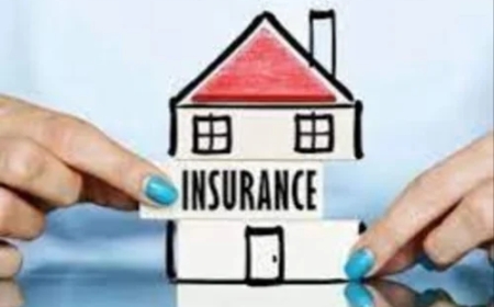 Explore the Best Personal Insurance Plans for Boca Rotan Residents