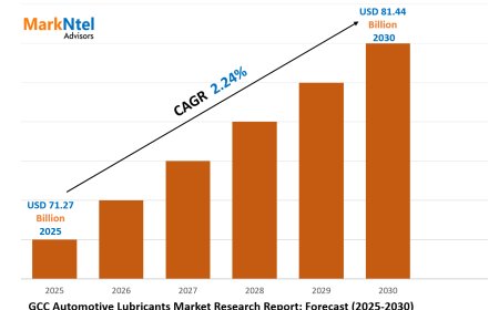 GCC Automotive Lubricants Market Forecast 2025–2030: Key Players, Trends & Outlook