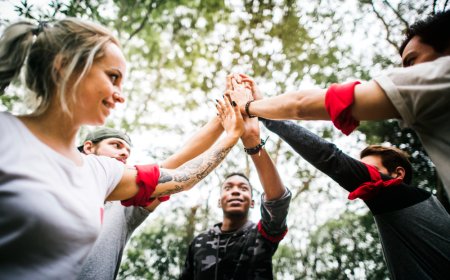 Program Development by Corporate Training Consultants