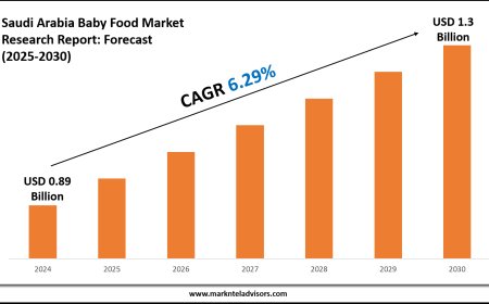 Saudi Arabia Baby Food Market Research 2025–2030: Demand Drivers & Projections