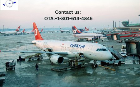 How do I get a full refund on Turkish Airlines?