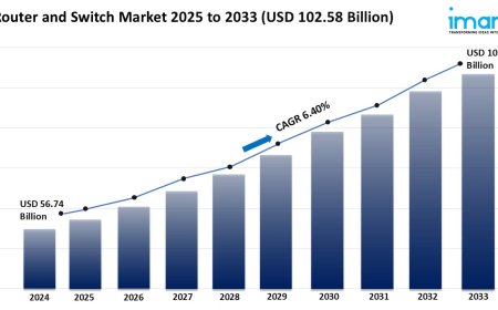 Router and Switch Market Analysis, Key Players, Growth & Forecast 2025-2033