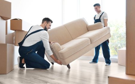 Best Removals Brisbane: Trusted Removalists Brisbane and Mount Gravatt Experts