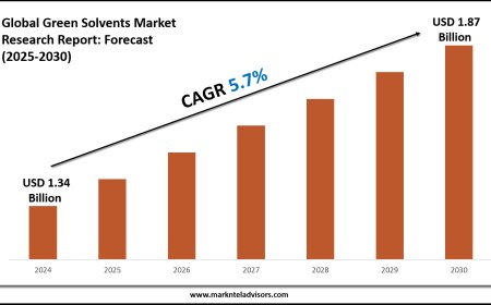 Green Solvents Market Report 2025–2030: Demand, Value & Share Outlook