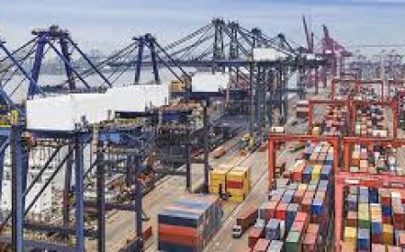 Freight Forwarding Companies in UAE