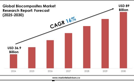 Biocomposites Market Research 2025–2030: Demand Drivers & Projections