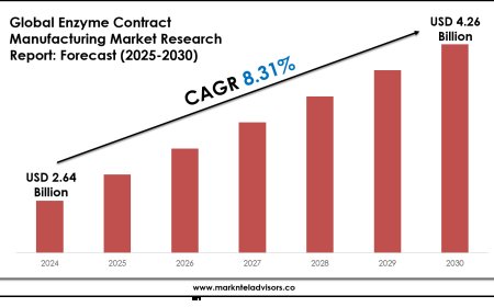 Forecasting the Enzyme Contract Manufacturing Market: Key Metrics & Industry Overview