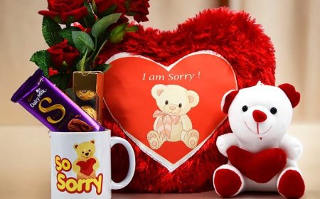 Shop Sorry Gifts Online Express Regret with Flowers, Chocolates & More