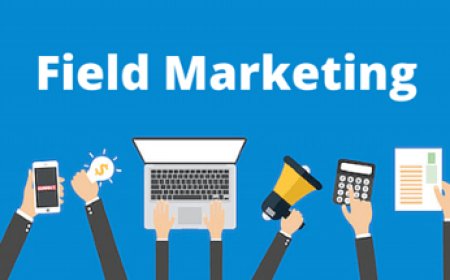 How Can Field Sales Outsourcing Help Brands in Hyderabad?