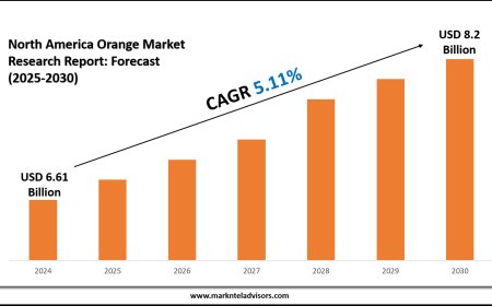 North America Orange Market to Surpass USD 8.2 Billion in Value by 2030