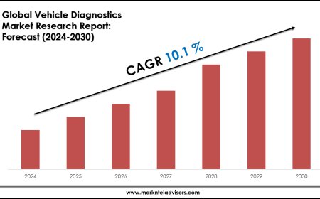 2024–2030 Vehicle Diagnostics Market Landscape: Growth, Share & Opportunities