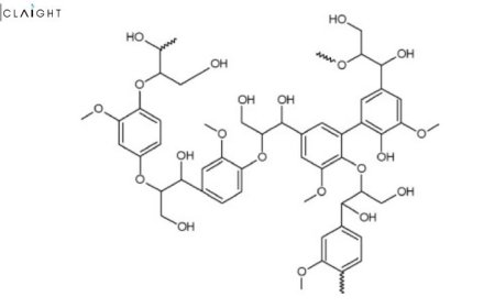 Lignin Market Size, Share & Growth & Forecast 2025–2034