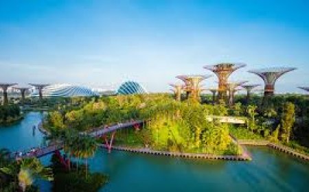 How to Find the Best Travel Agency in Lahore? 7 Proven Ways